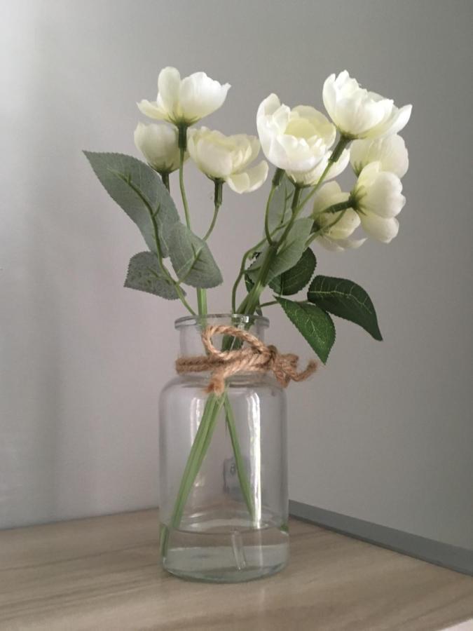 Cosy Room'S Grange Blanche ลียง ภายนอก รูปภาพ
